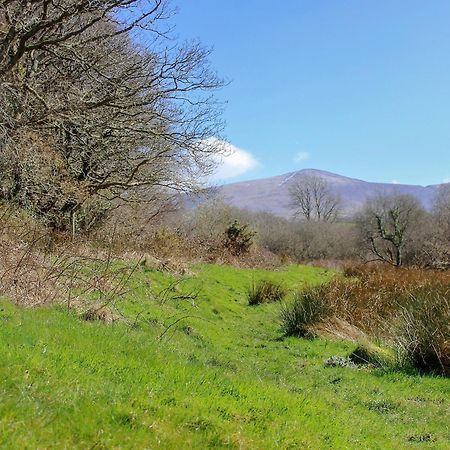 فيلا Tryfan - Uk6628 Pen-y-groes المظهر الخارجي الصورة